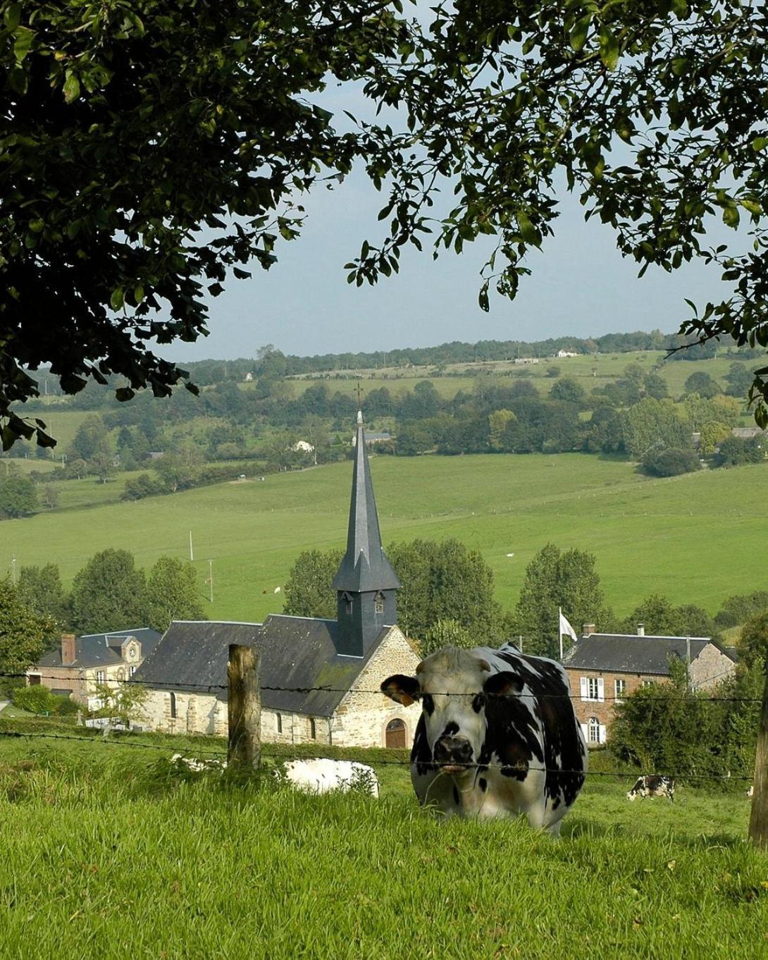 Gite " Le Normand " Sa Vue Splendide Vimoutiers Buitenkant foto